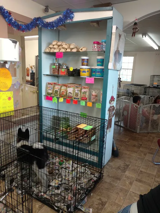 Vinnie's Bow Wow Shoppe Picture 9