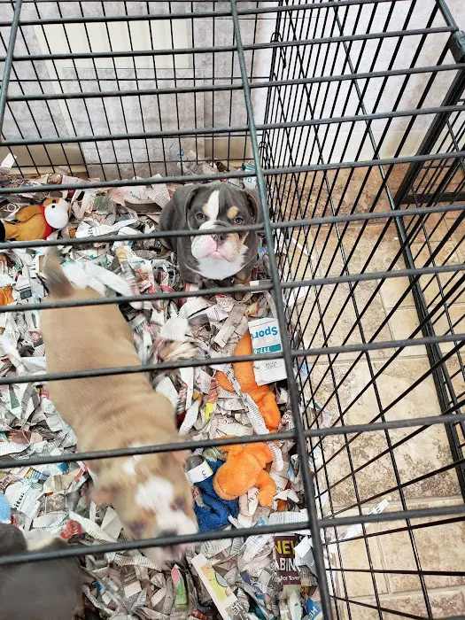 Vinnie's Bow Wow Shoppe Picture 6
