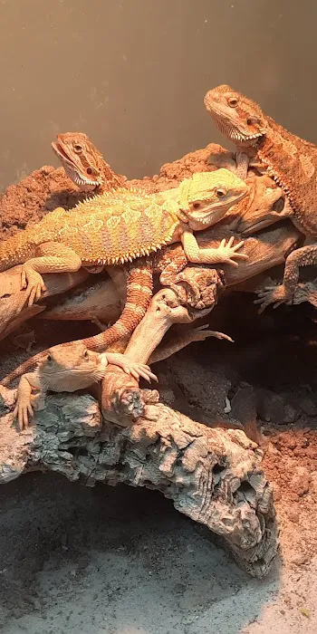 Just For Pets Picture 7