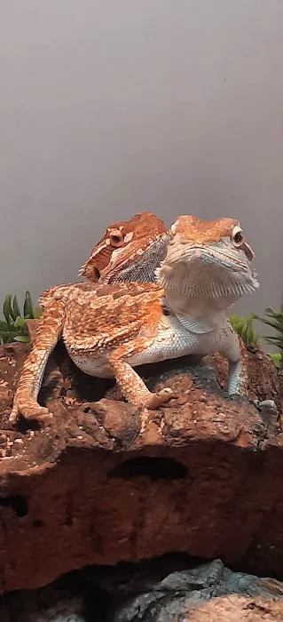 Just For Pets Picture 1