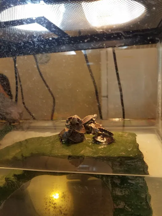 Just For Pets Picture 5