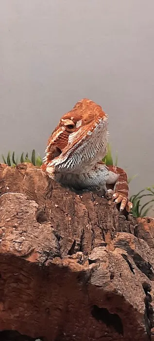 Just For Pets Picture 4