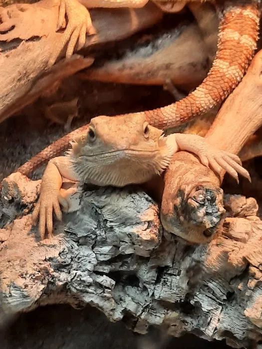 Just For Pets Picture 3