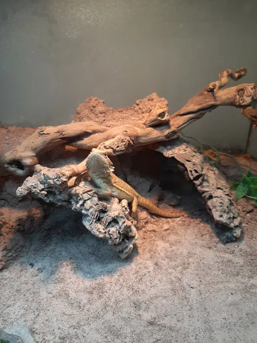 Just For Pets Picture 6