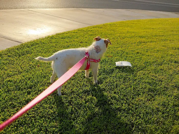 Irvine Pet Hospital Picture 10