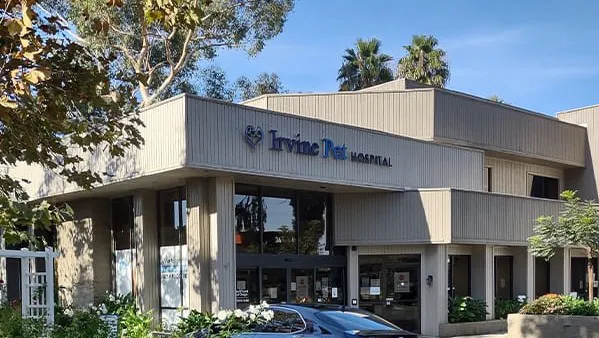 Irvine Pet Hospital Picture 4