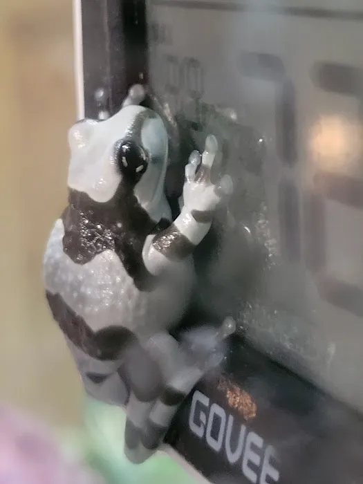 CRAZY FROG LADY L.L.C. Picture 10