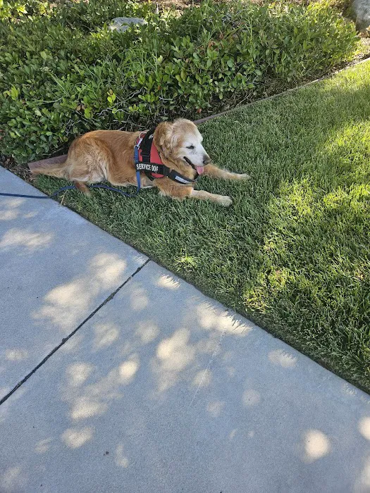 Stonecreek Animal Hospital, A Thrive Pet Healthcare Partner Picture 10
