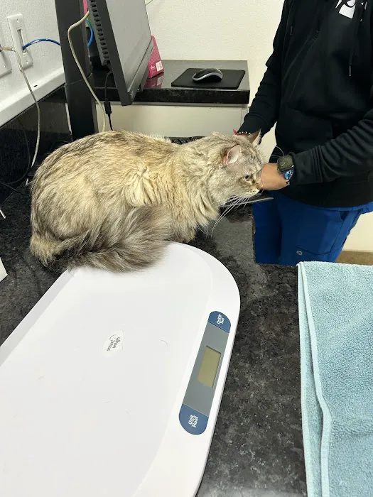 Stonecreek Animal Hospital, A Thrive Pet Healthcare Partner Picture 1