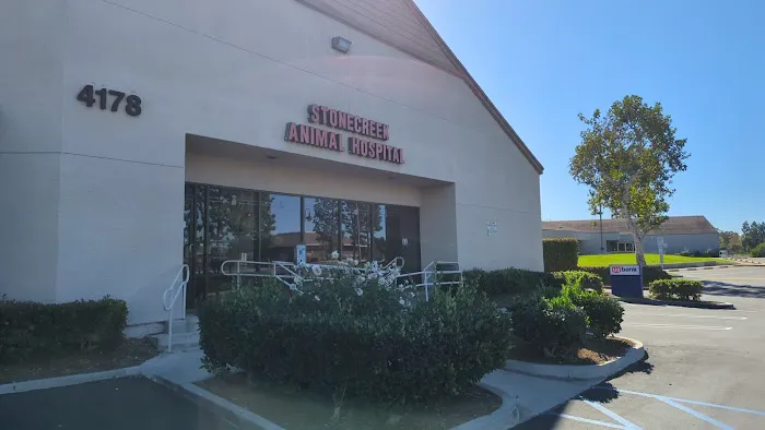 Stonecreek Animal Hospital, A Thrive Pet Healthcare Partner Picture 8