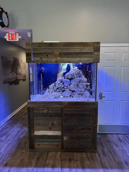 Aquarium Xpress Picture 1