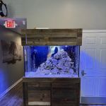 Aquarium Xpress