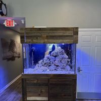 Aquarium Xpress ico