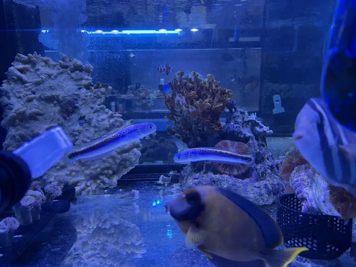 Aquarium Xpress Picture 4