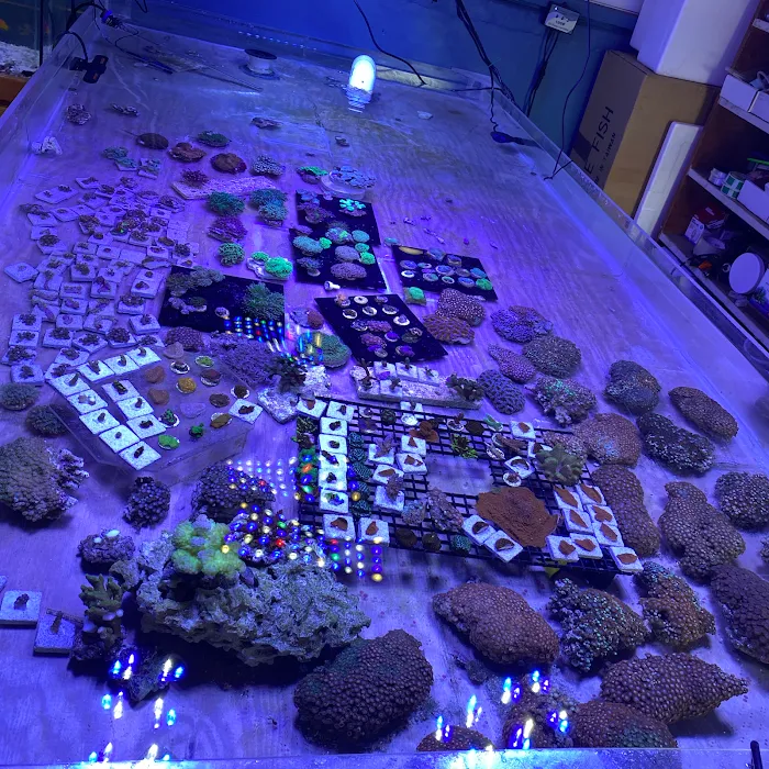 Aquarium Xpress Picture 9
