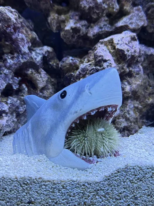 Aquarium Xpress Picture 2