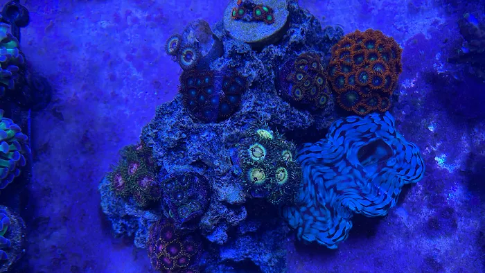 Aquarium Xpress Picture 7