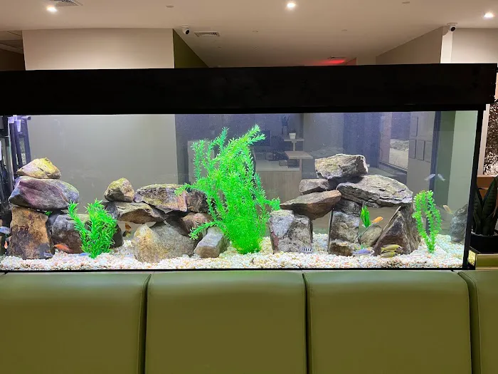 Aquarium Xpress Picture 8