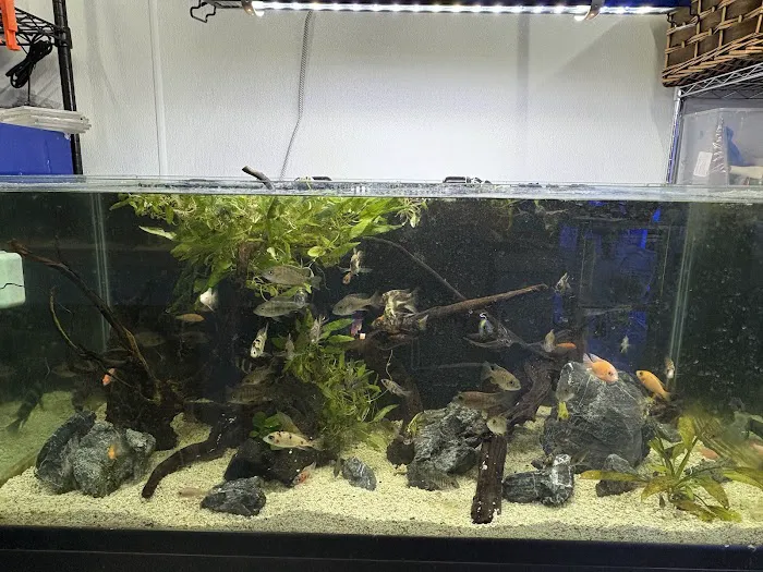 Aquarium Xpress Picture 3