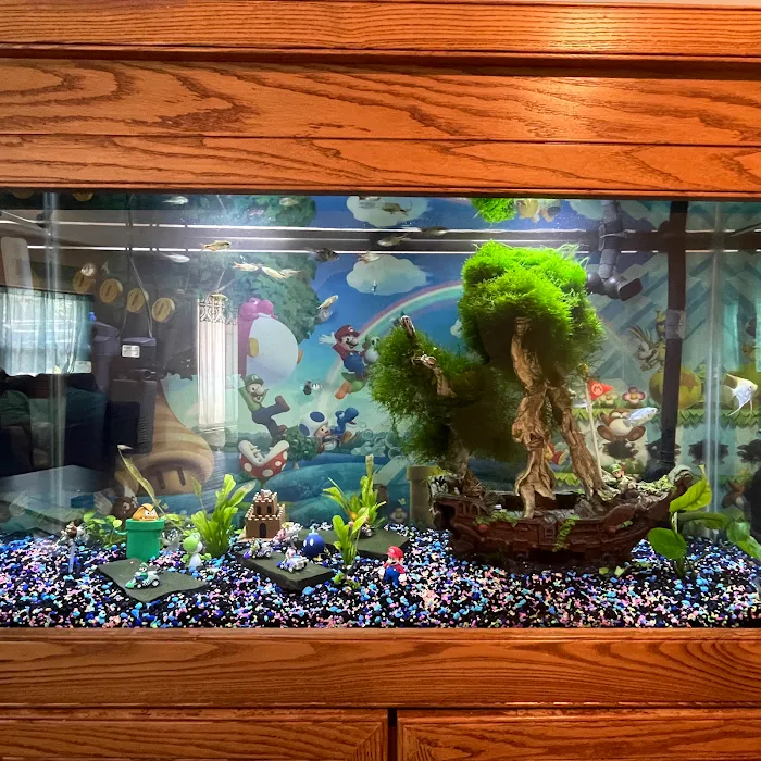 Aquarium Xpress Picture 10