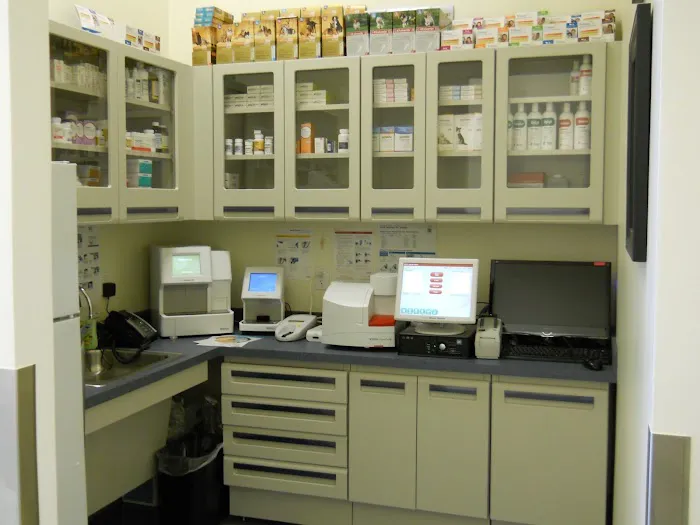 Quail Animal Hospital Picture 7