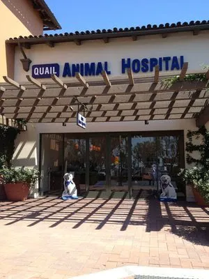 Quail Animal Hospital Picture 6