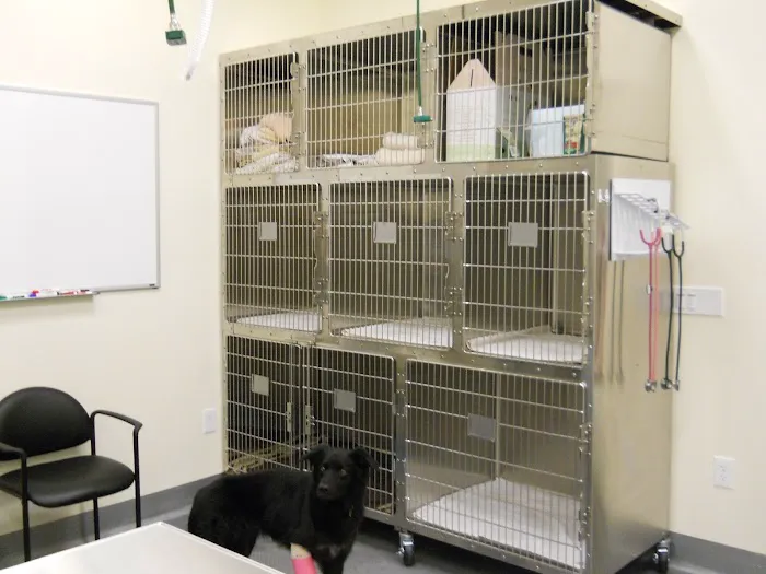 Quail Animal Hospital Picture 10