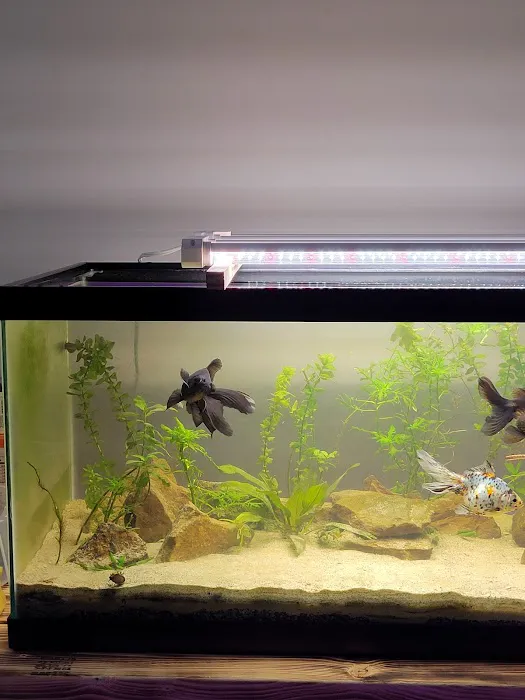 Fish & Beyond Pet Center Picture 3
