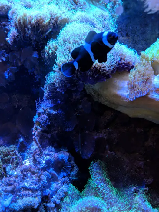 Fish & Beyond Pet Center Picture 9