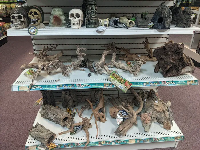 Fish & Beyond Pet Center Picture 8