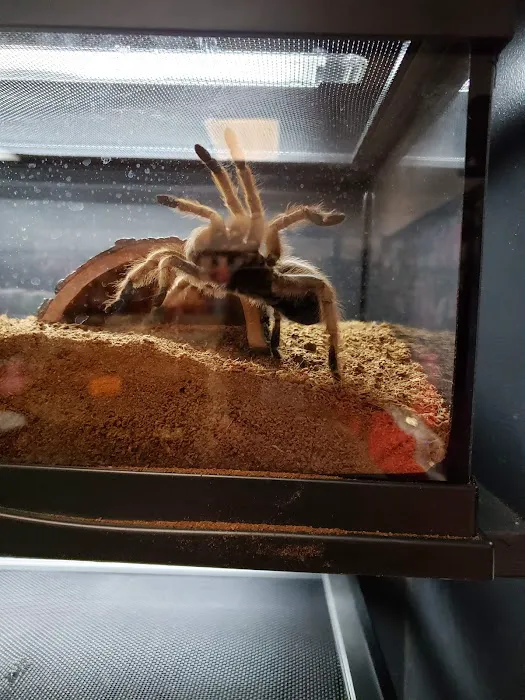 Fish & Beyond Pet Center Picture 6