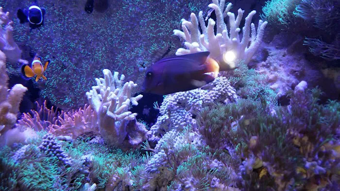 Fish & Beyond Pet Center Picture 7