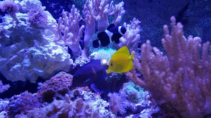 Fish & Beyond Pet Center Picture 5