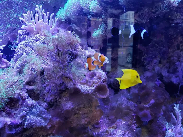 Fish & Beyond Pet Center Picture 4