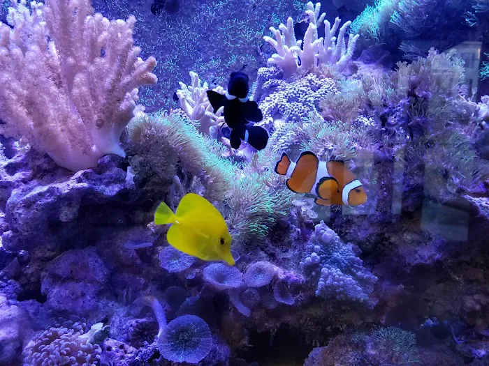 Fish & Beyond Pet Center Picture 10