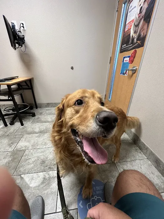 VCA Irvine University Park Animal Hospital Picture 1