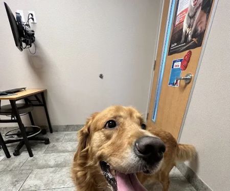 VCA Irvine University Park Animal Hospital
