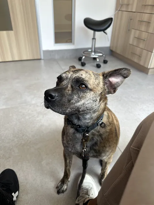 UrbanVet Picture 5