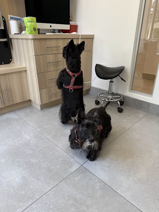 UrbanVet Picture 9