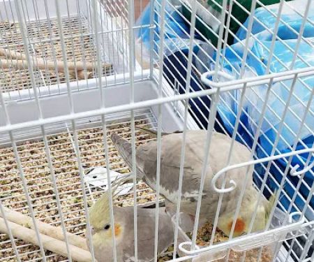 Pets Plus - Quakertown