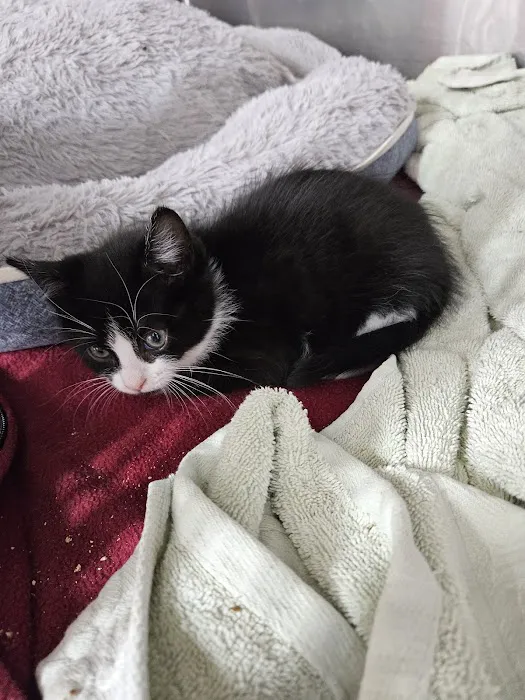 Pets Plus - Quakertown Picture 2