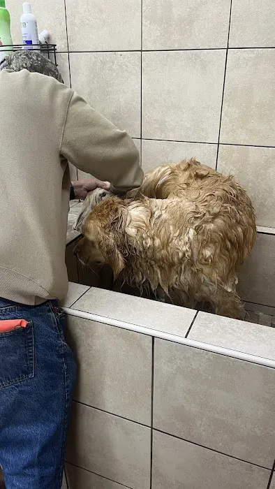 Pets Plus - Quakertown Picture 6