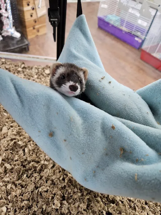Pets Plus - Quakertown Picture 4