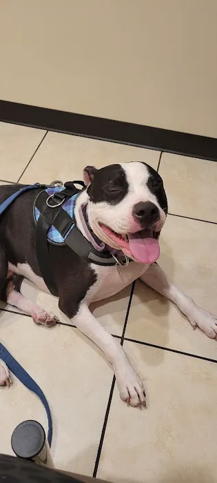 Newport Mesa Animal Hospital Picture 4