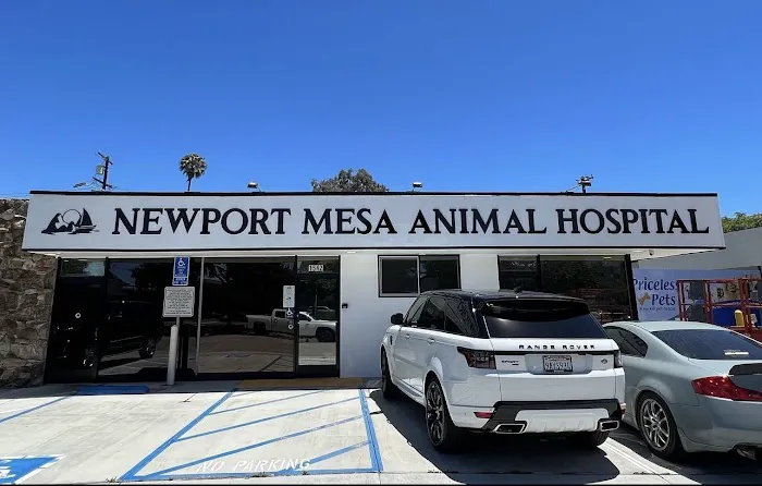 Newport Mesa Animal Hospital Picture 10