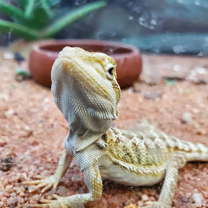 Petco Picture 8