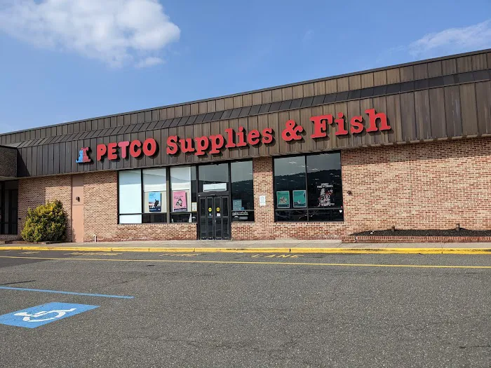 Petco Picture 3
