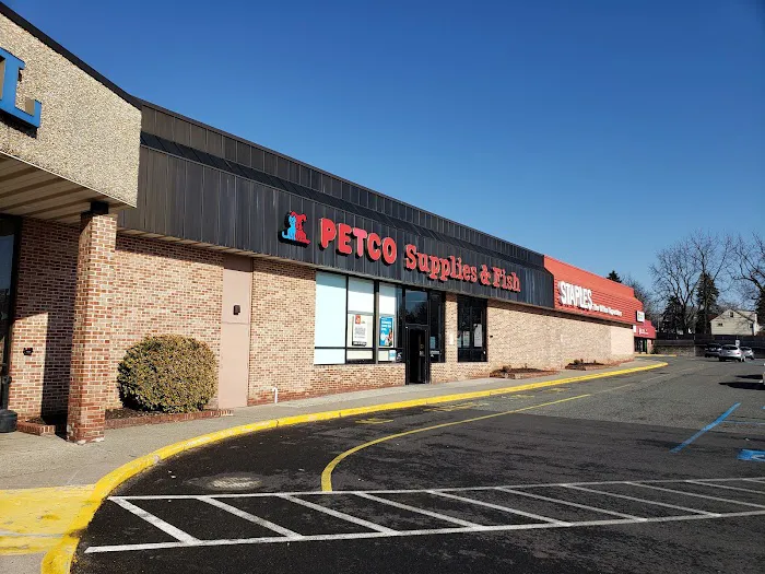 Petco Picture 6