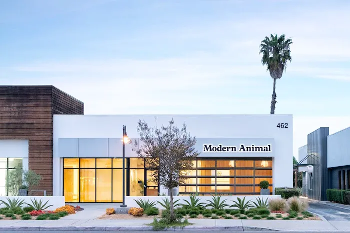 Modern Animal - Costa Mesa Picture 10