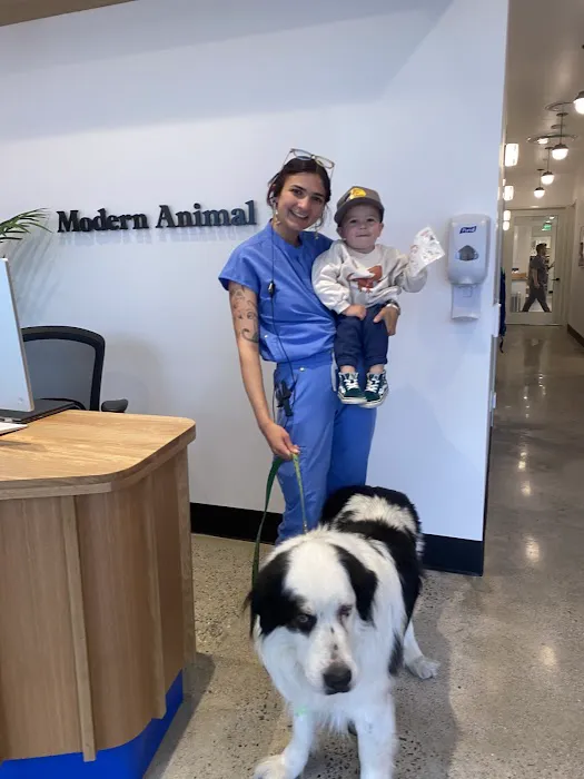 Modern Animal - Costa Mesa Picture 5